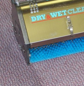 Rug cleaning without water