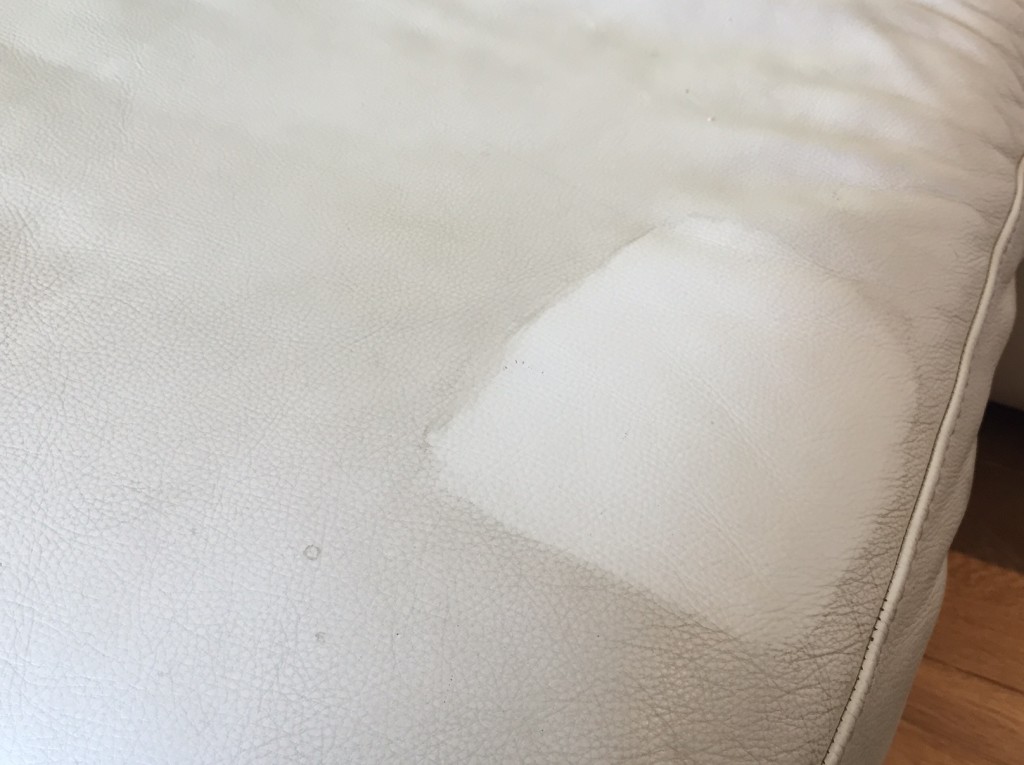 Leather Cleaning And Repairs On Upholstery In The Home Or