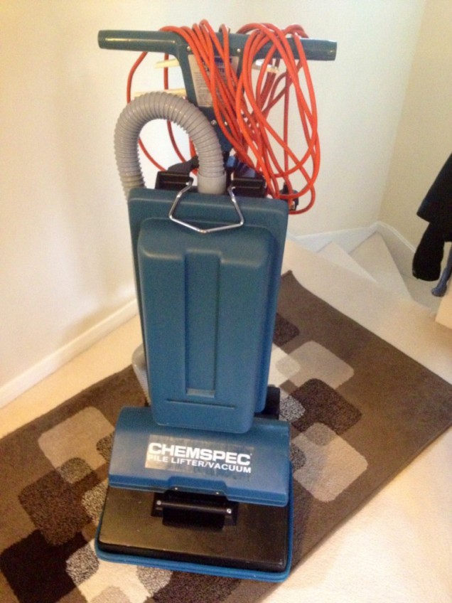 Carpet Pile Lifter Carpet Vidalondon